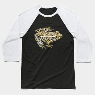 Leopard Frog Drawing (no background) Baseball T-Shirt